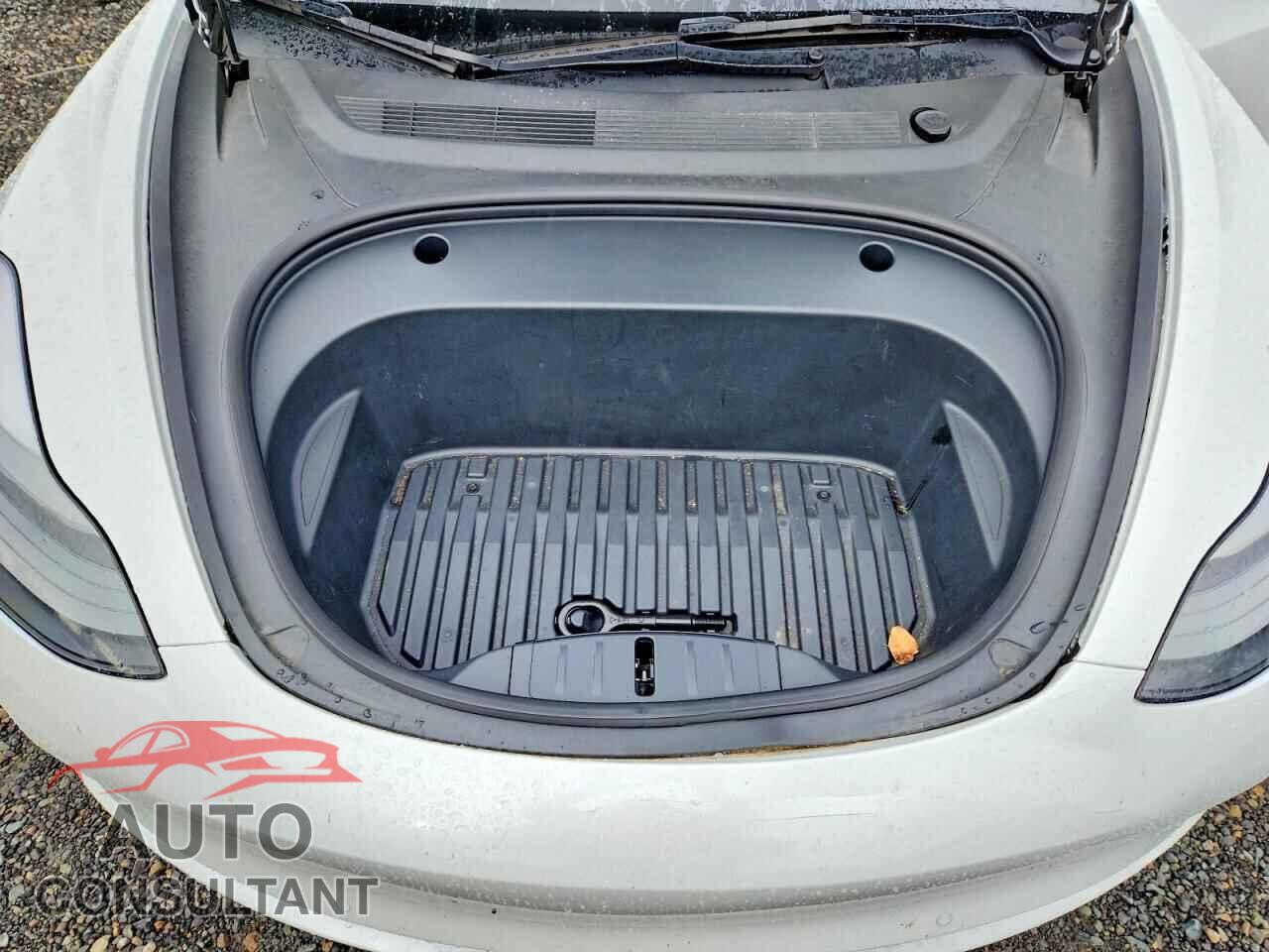 TESLA MODEL 3 2021 - 5YJ3E1EA2MF100971
