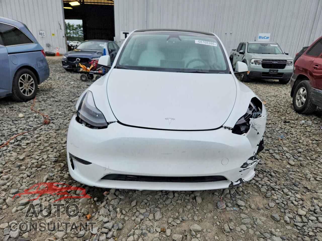 TESLA MODEL Y 2024 - 7SAYGDEEXRF170331
