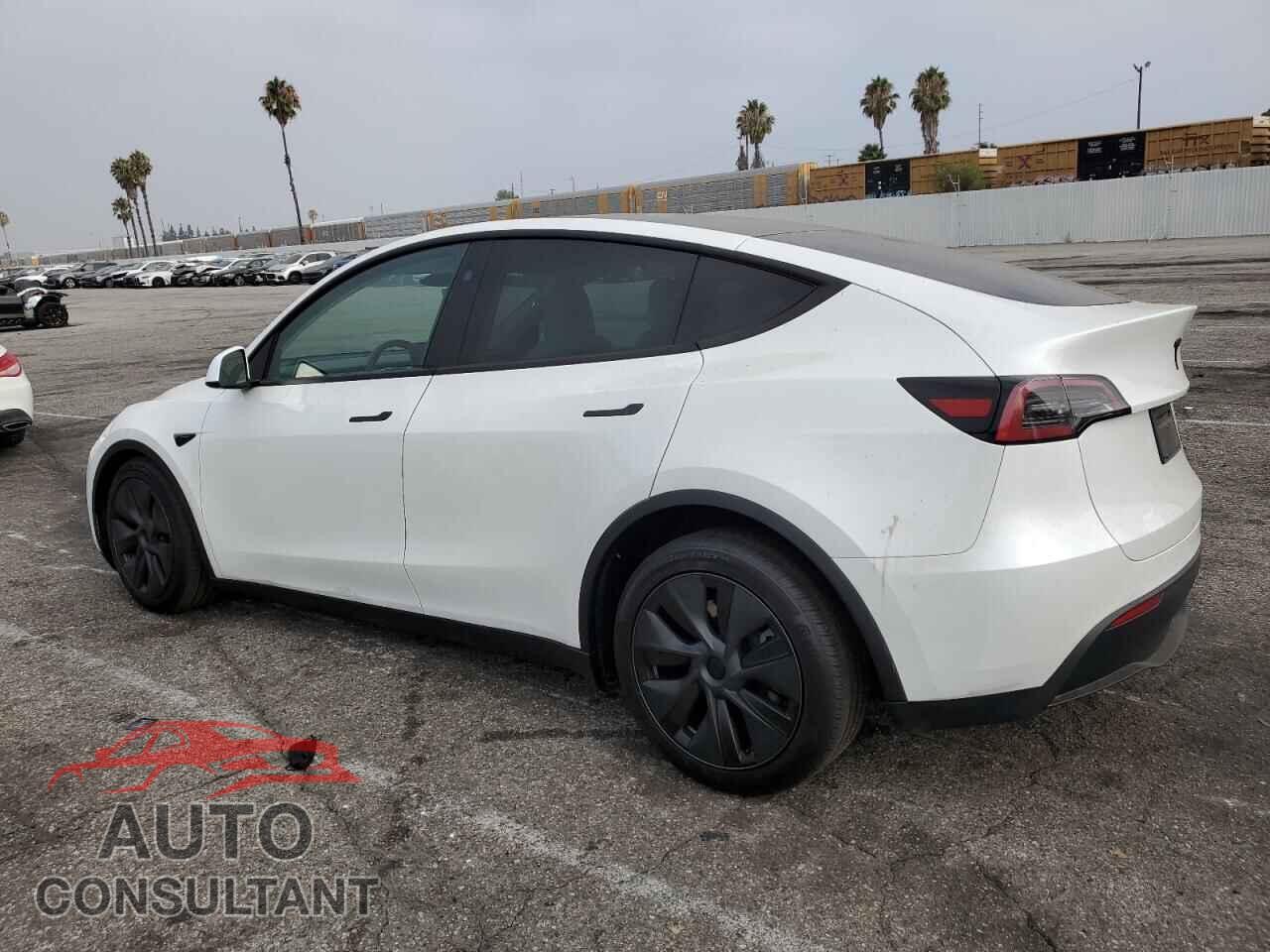 TESLA MODEL Y 2024 - 7SAYGDEE8RF165984