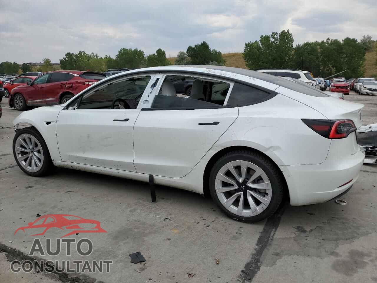 TESLA MODEL 3 2022 - 5YJ3E1EB0NF117276
