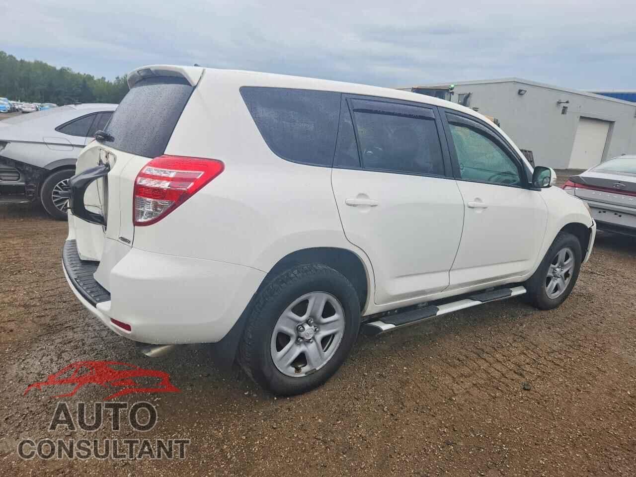 TOYOTA RAV4 2011 - 2T3BF4DV5BW085744