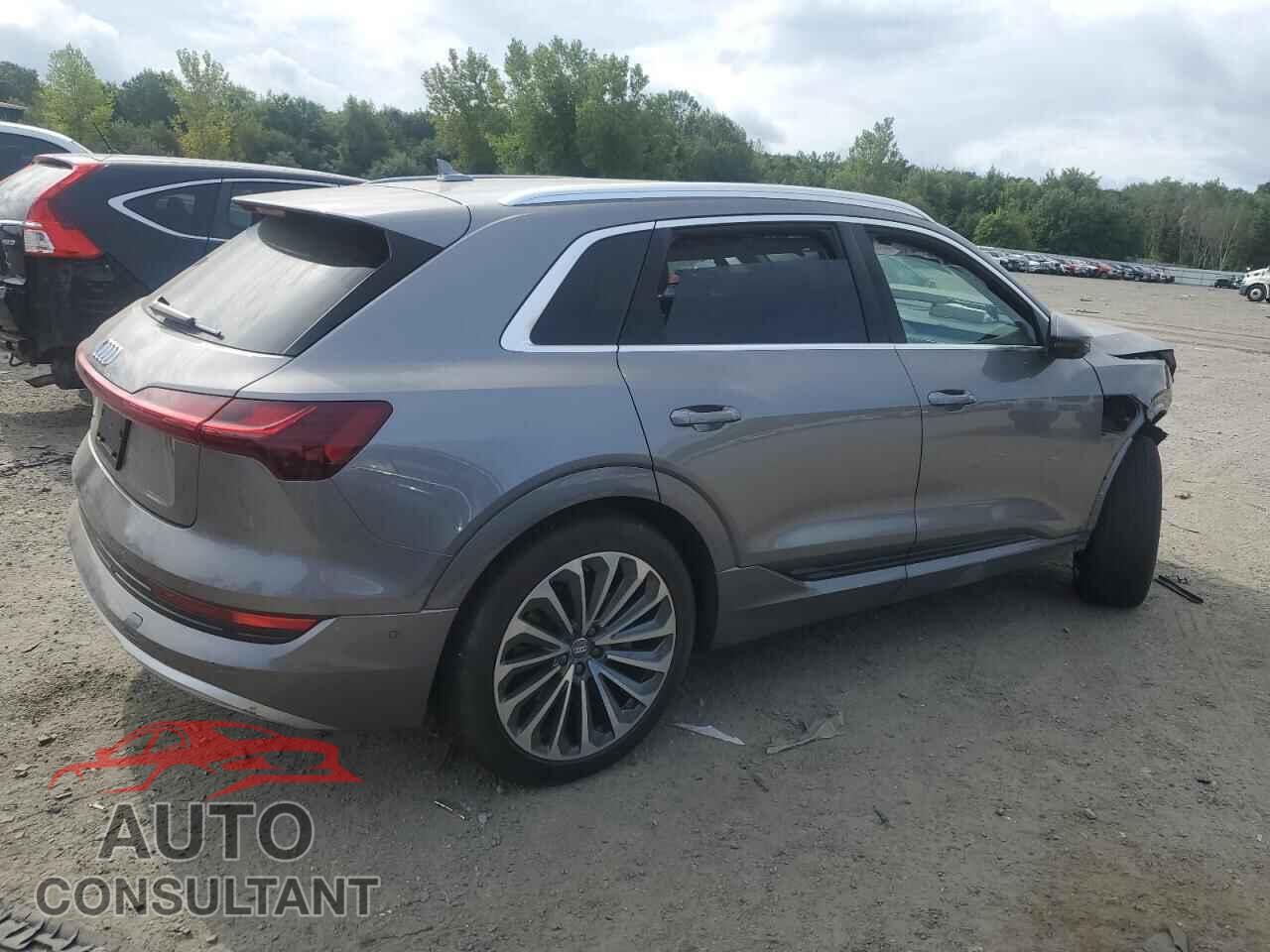 AUDI E-TRON 2019 - WA1VAAGE4KB005603