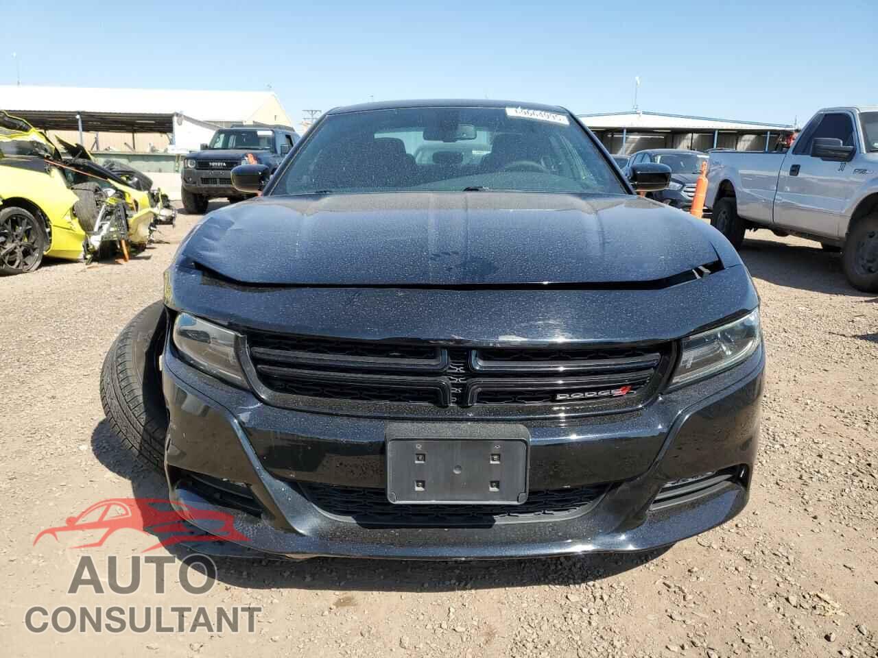 DODGE CHARGER 2019 - 2C3CDXJG7KH555357