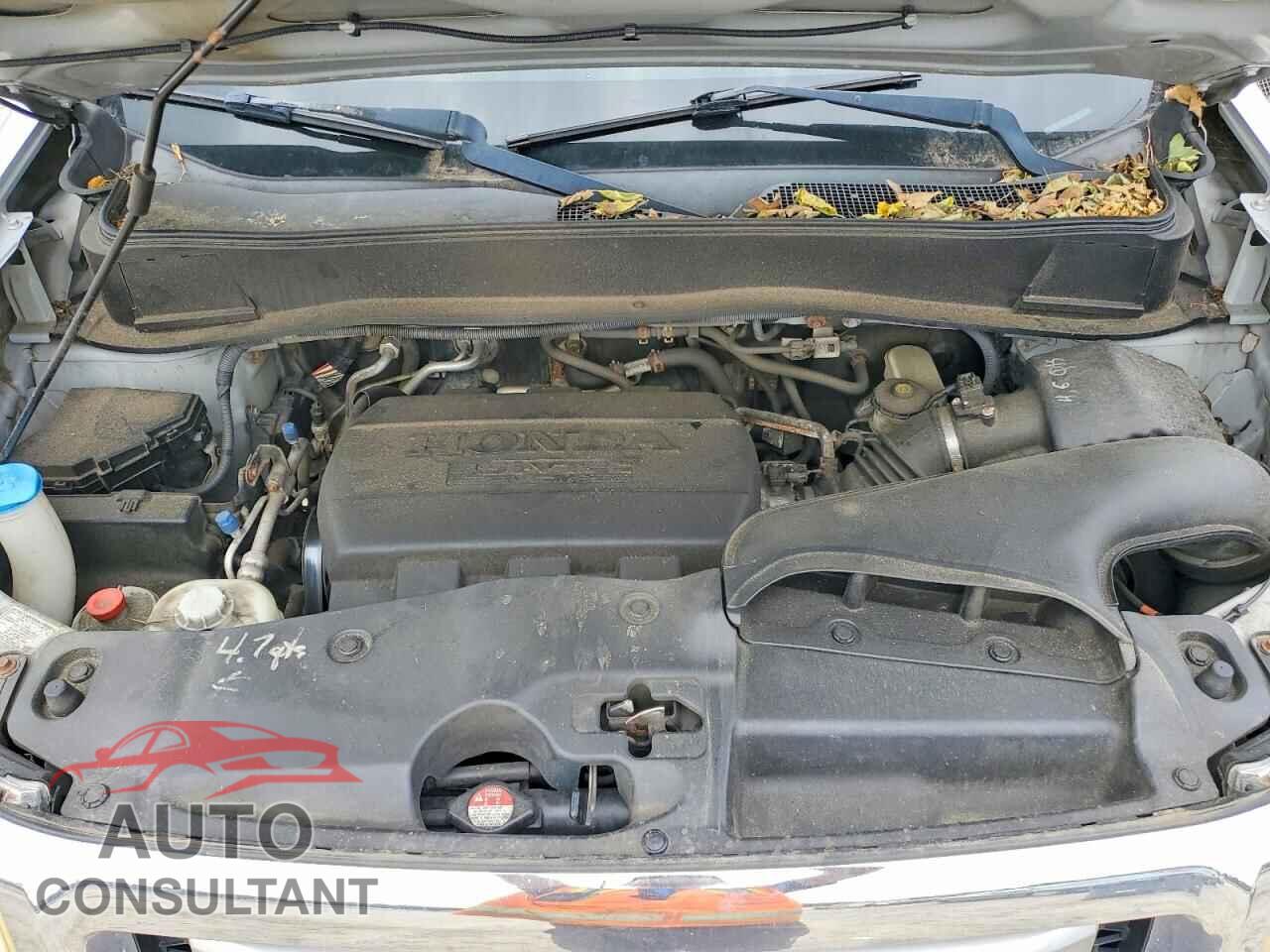 HONDA PILOT 2011 - 5FNYF4H69BB026215