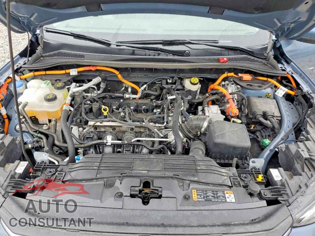 FORD ESCAPE 2025 - 1FMCU0E12SUA56256