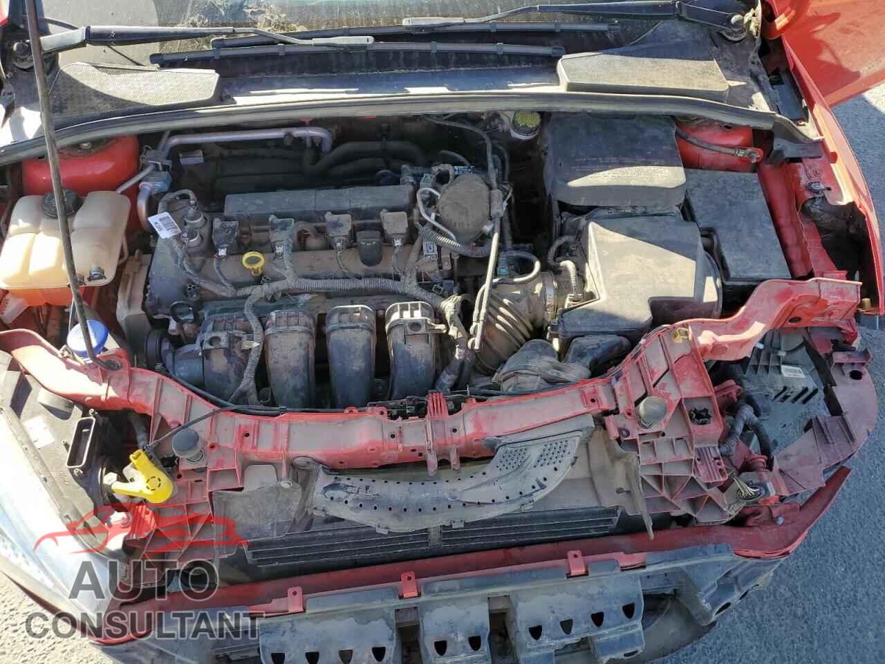 FORD FOCUS 2015 - 1FADP3K22FL374989