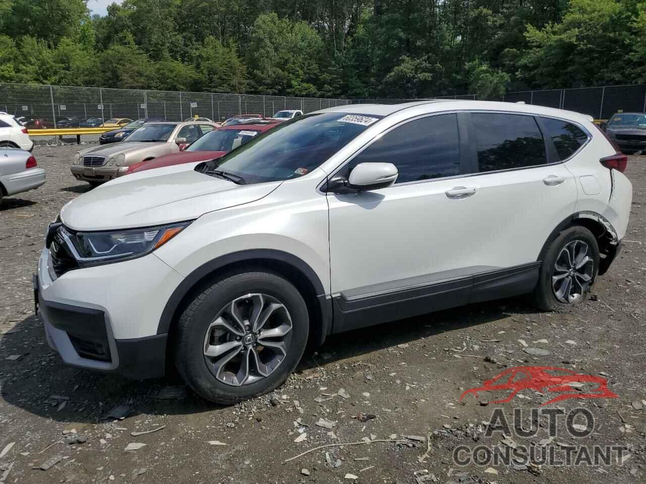 HONDA CRV 2022 - 5J6RW1H87NA008632