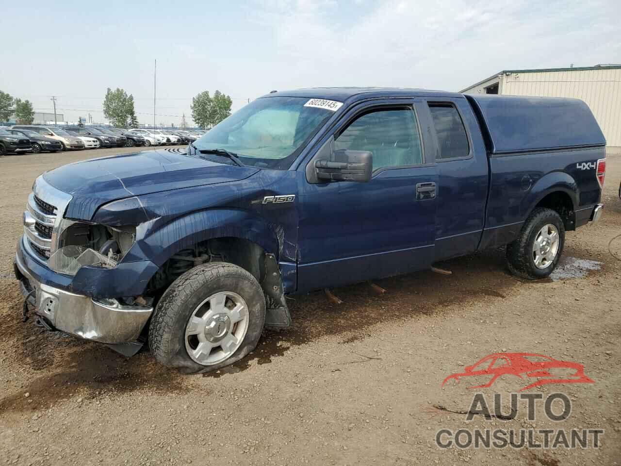 FORD F-150 2013 - 1FTFX1EF1DFA82929