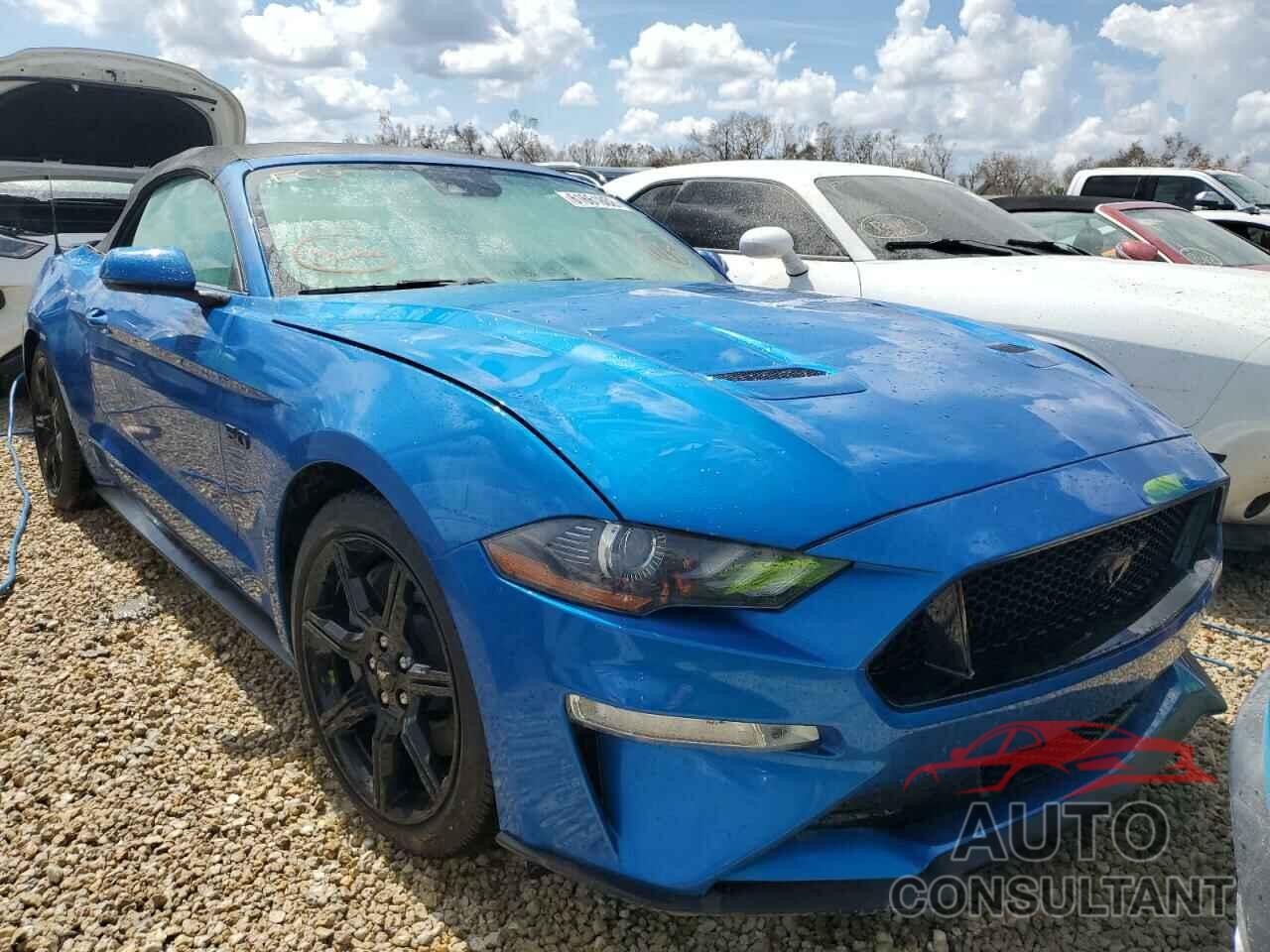 FORD MUSTANG 2019 - 1FATP8FF3K5189340