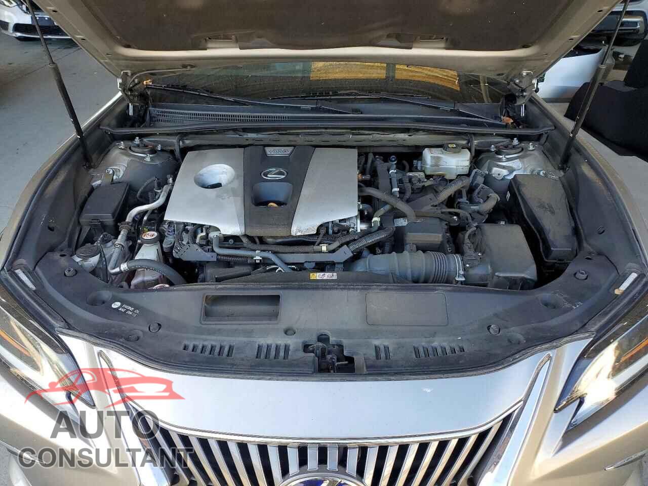 LEXUS ES300 2020 - 58AE21B17LU012174
