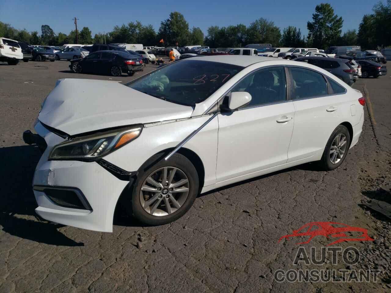 HYUNDAI SONATA 2017 - 5NPE24AF2HH489588