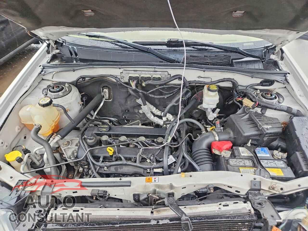 FORD ESCAPE 2010 - 1FMCU9D76AKC04882