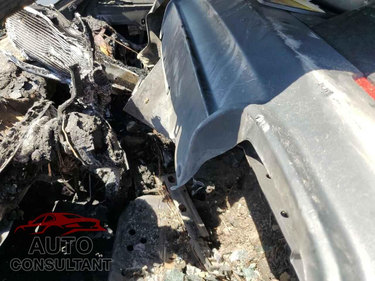 DODGE CHALLENGER 2019 - 2C3CDZBTXKH708689