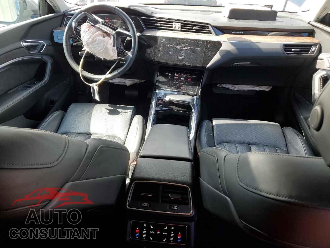 AUDI E-TRON 2019 - WA1VABGE2KB011325