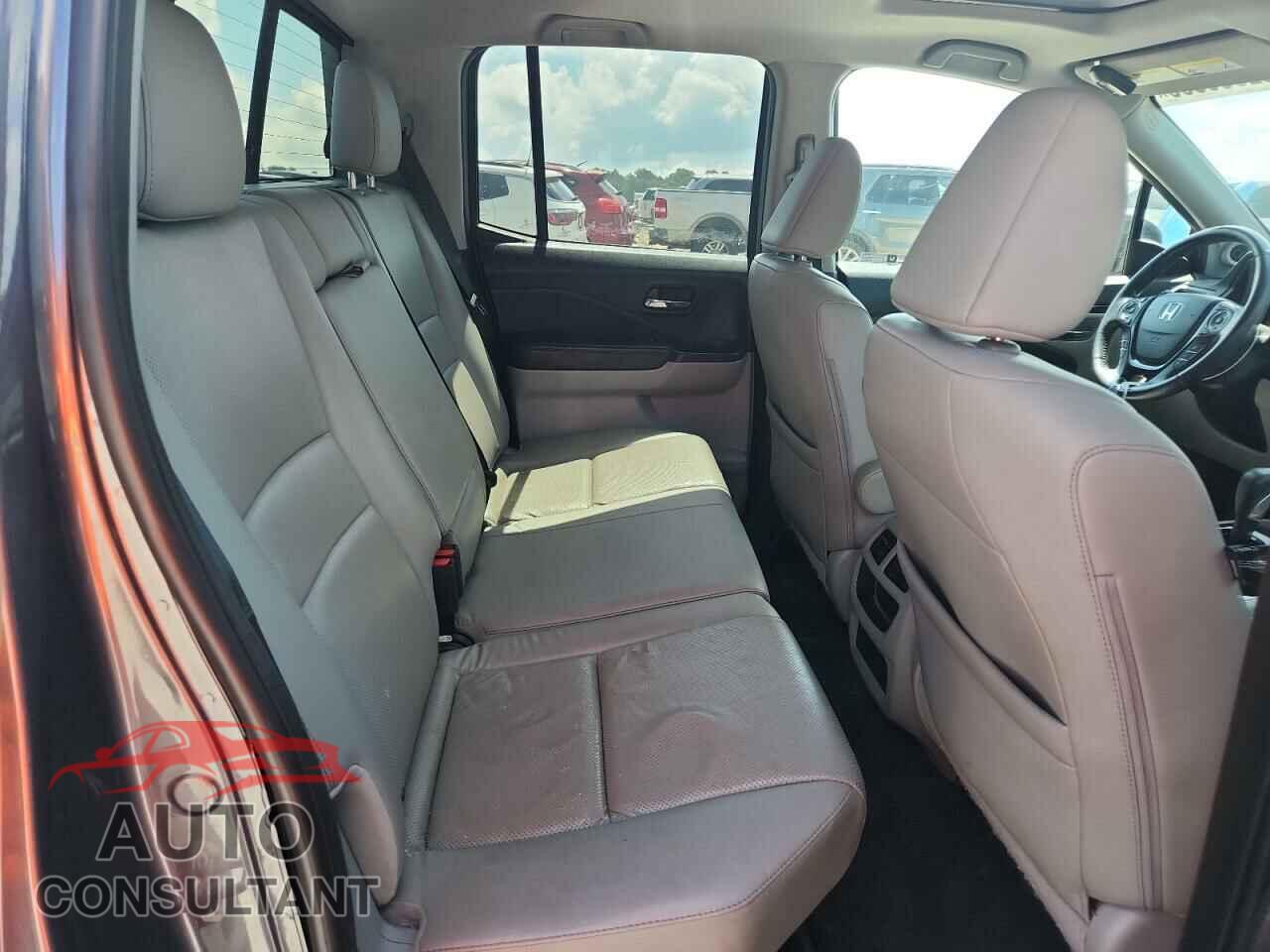 HONDA RIDGELINE 2017 - 5FPYK3F79HB031142