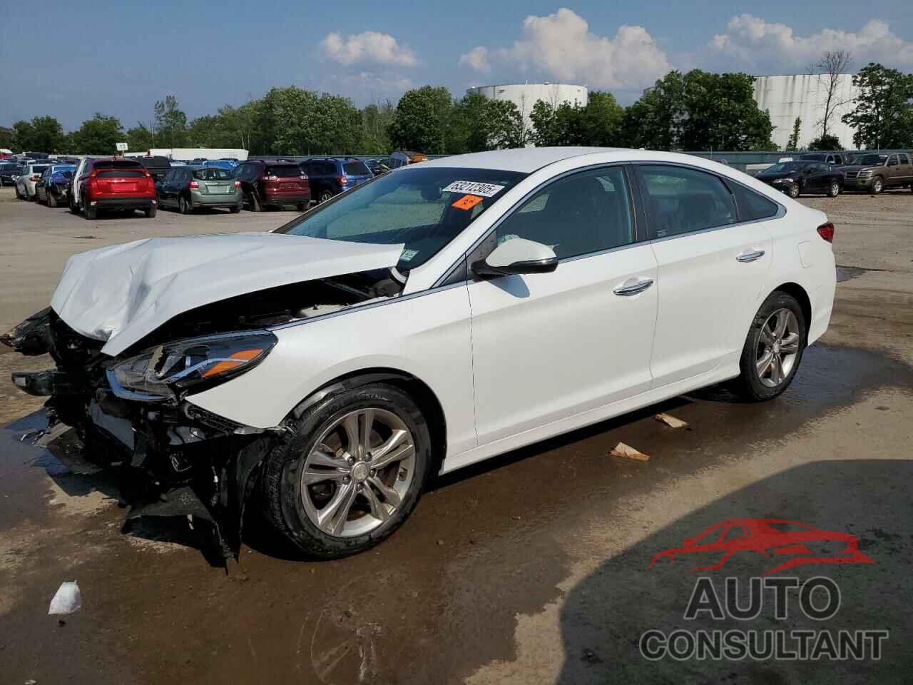 HYUNDAI SONATA 2019 - 5NPE34AF3KH778791