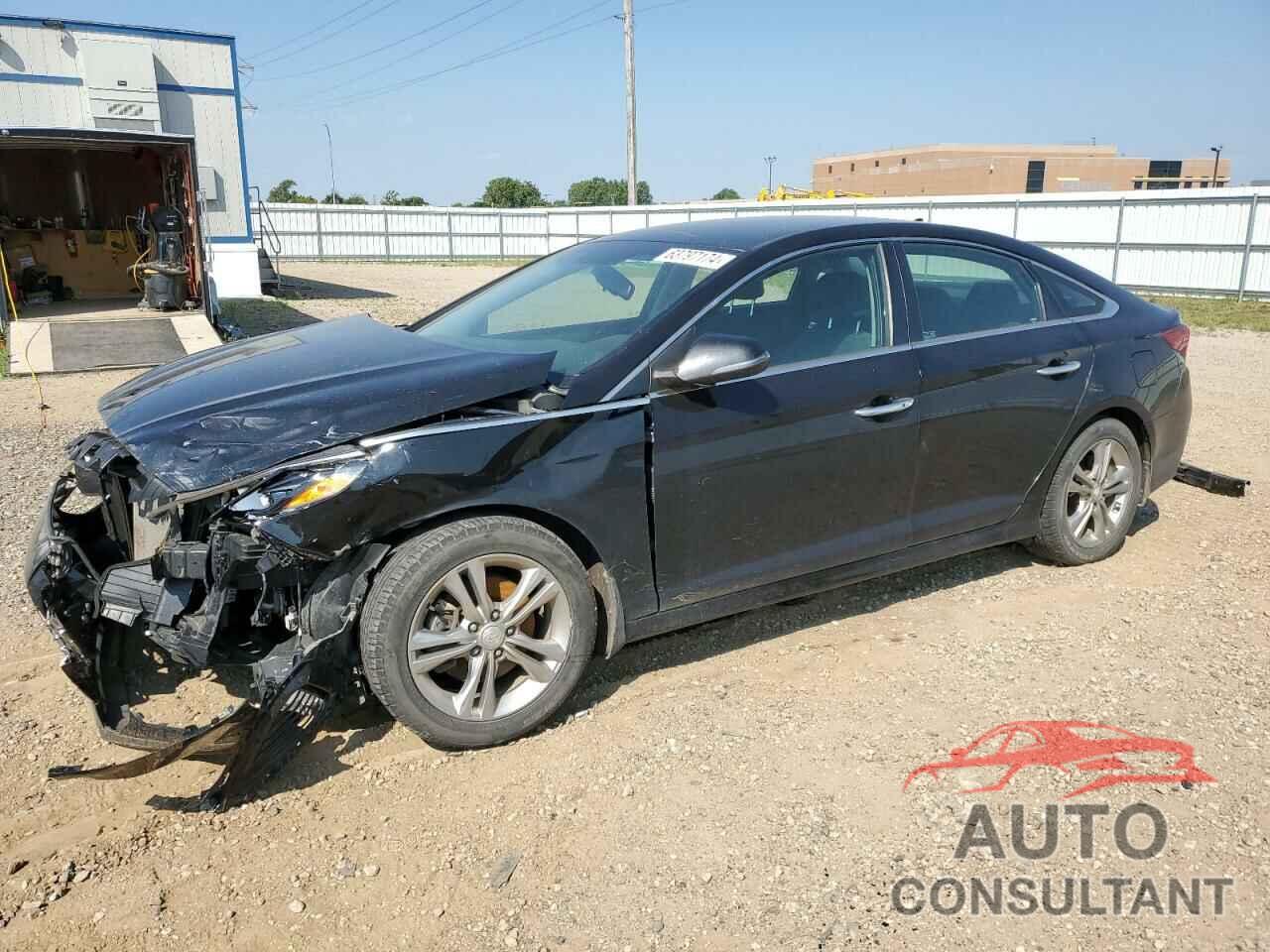 HYUNDAI SONATA 2019 - 5NPE34AF1KH800920