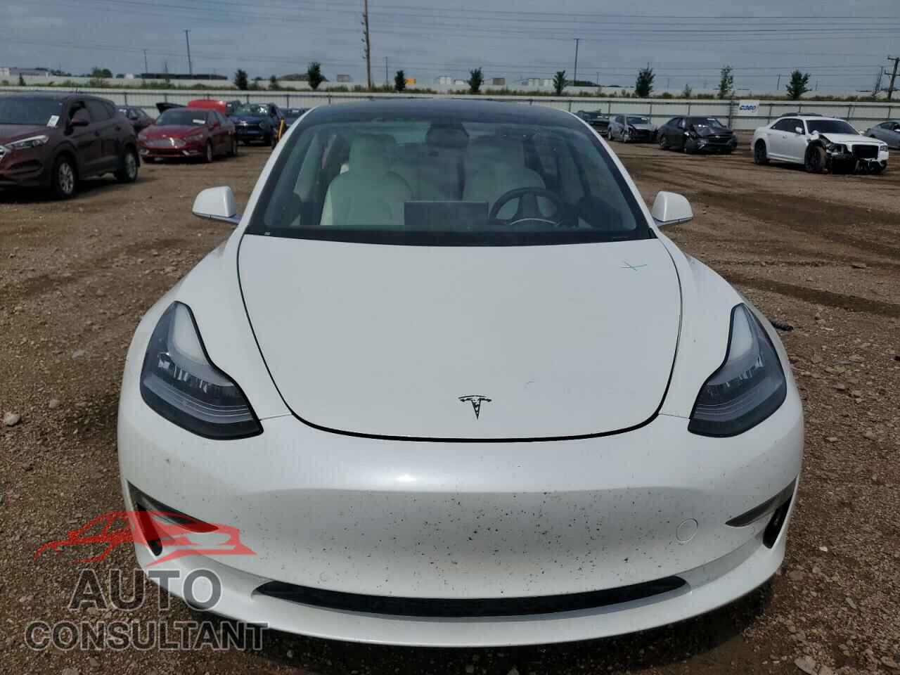 TESLA MODEL 3 2020 - 5YJ3E1EA7LF808423