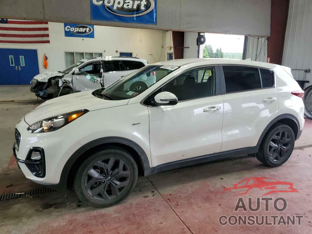 KIA SPORTAGE 2022 - KNDPMCAC5N7011474