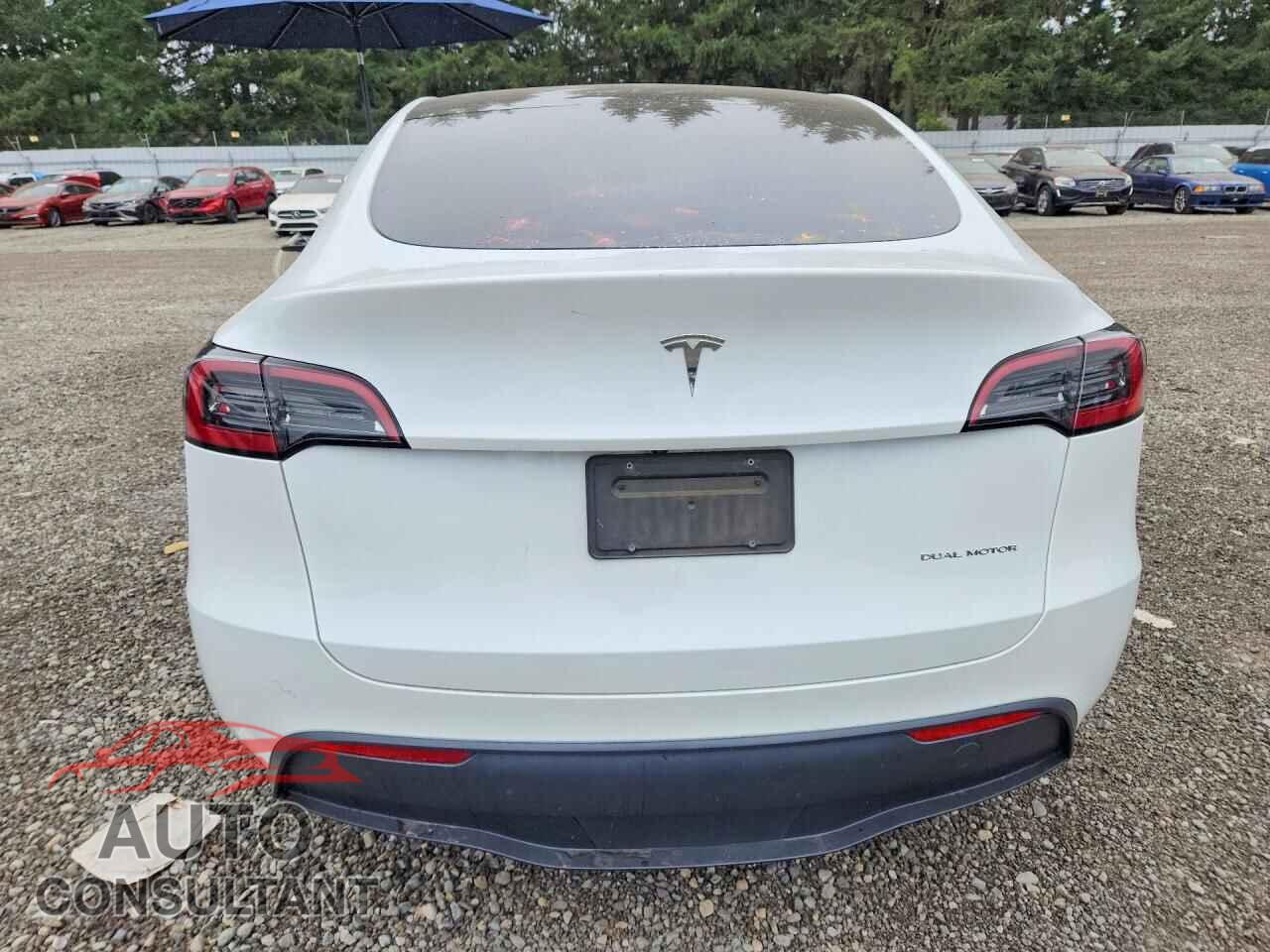 TESLA MODEL Y 2023 - 7SAYGDEE2PF617456
