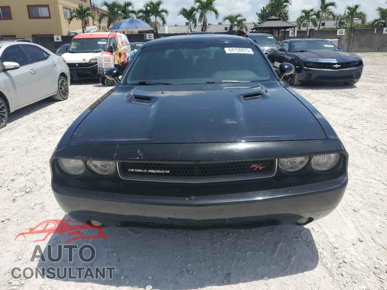 DODGE CHALLENGER 2013 - 2C3CDYBT7DH742005