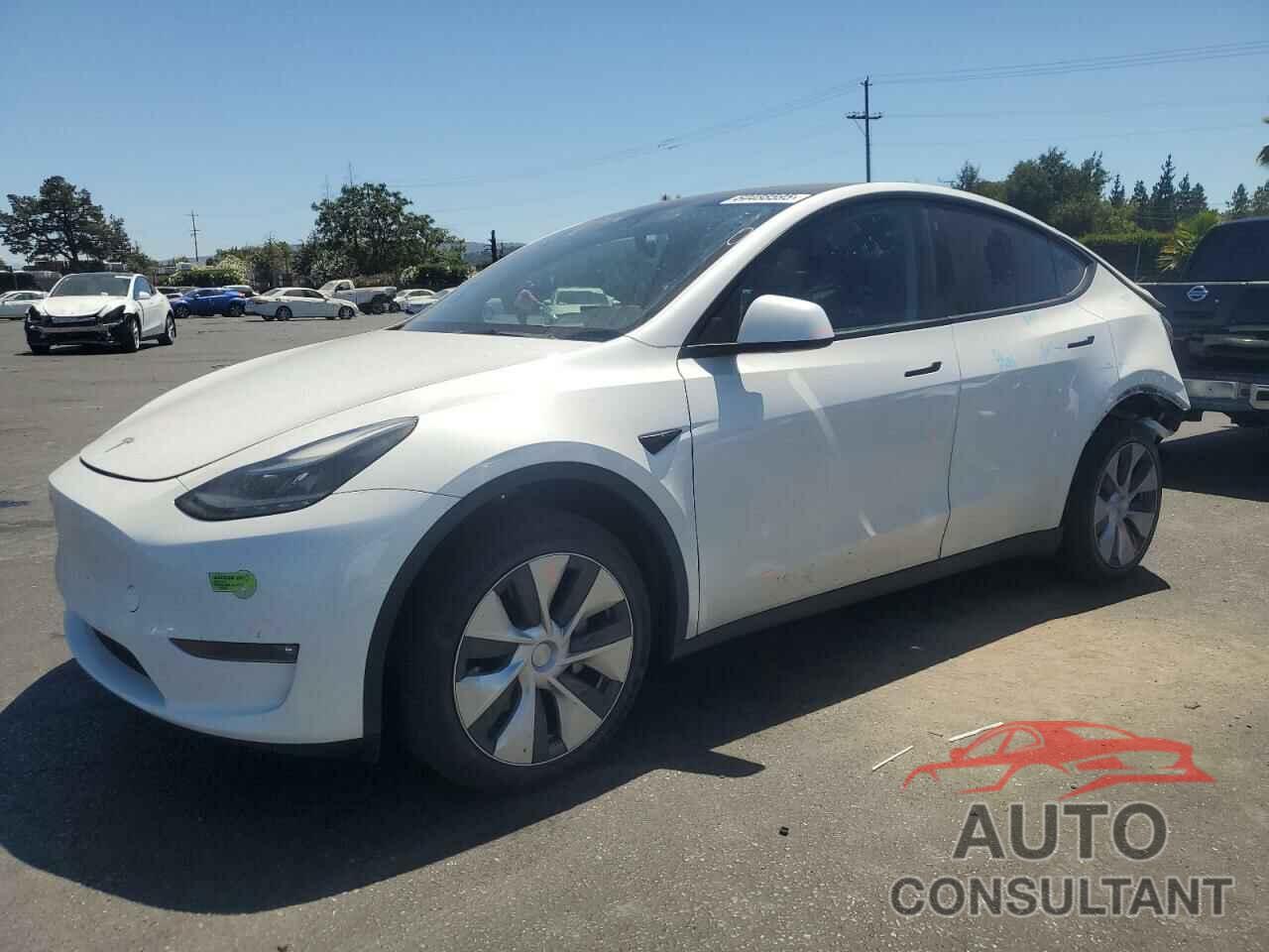 TESLA MODEL Y 2023 - 7SAYGDEE0PF669961