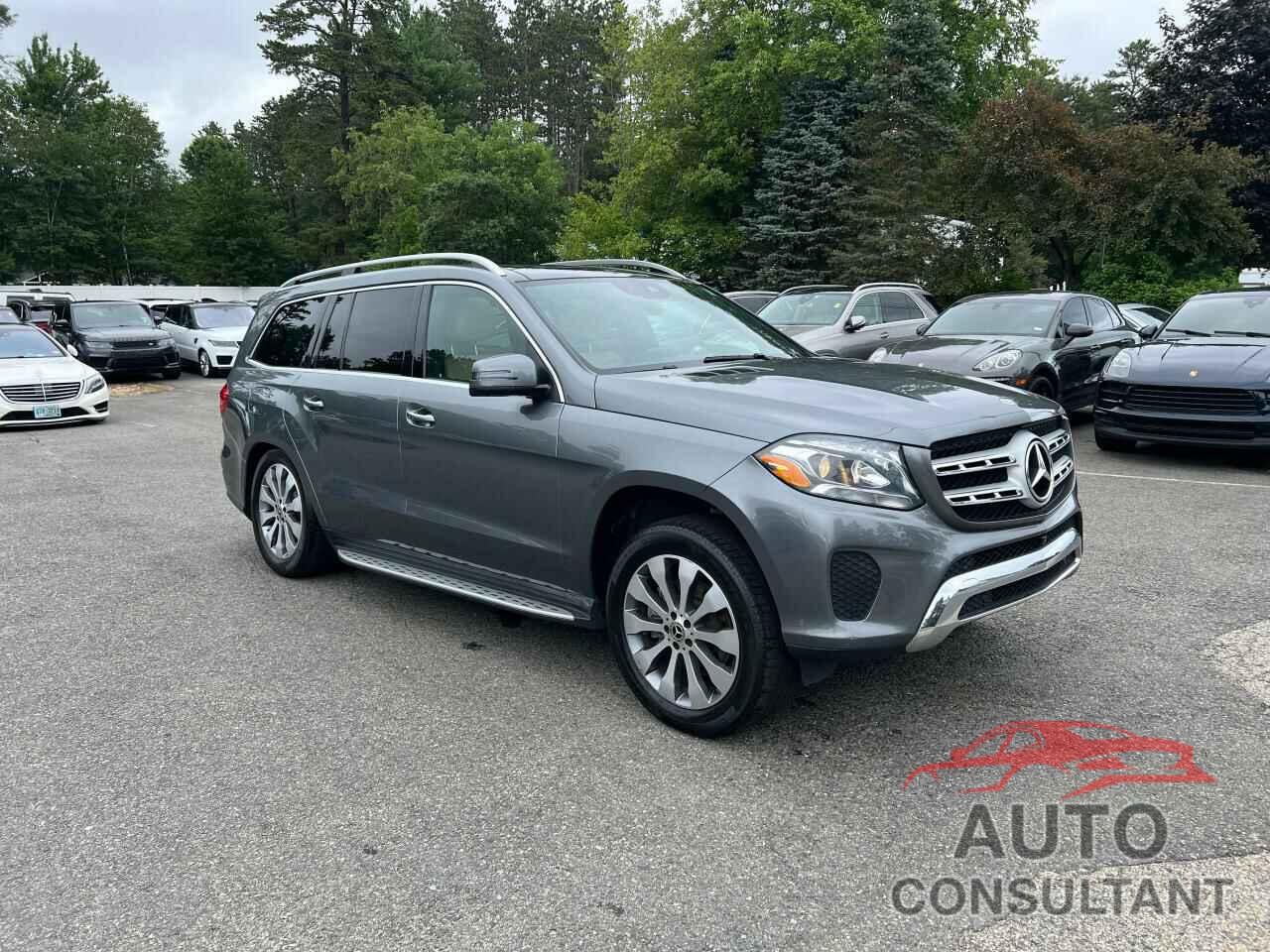 MERCEDES-BENZ GLS-CLASS 2019 - 4JGDF6EE8KB234462
