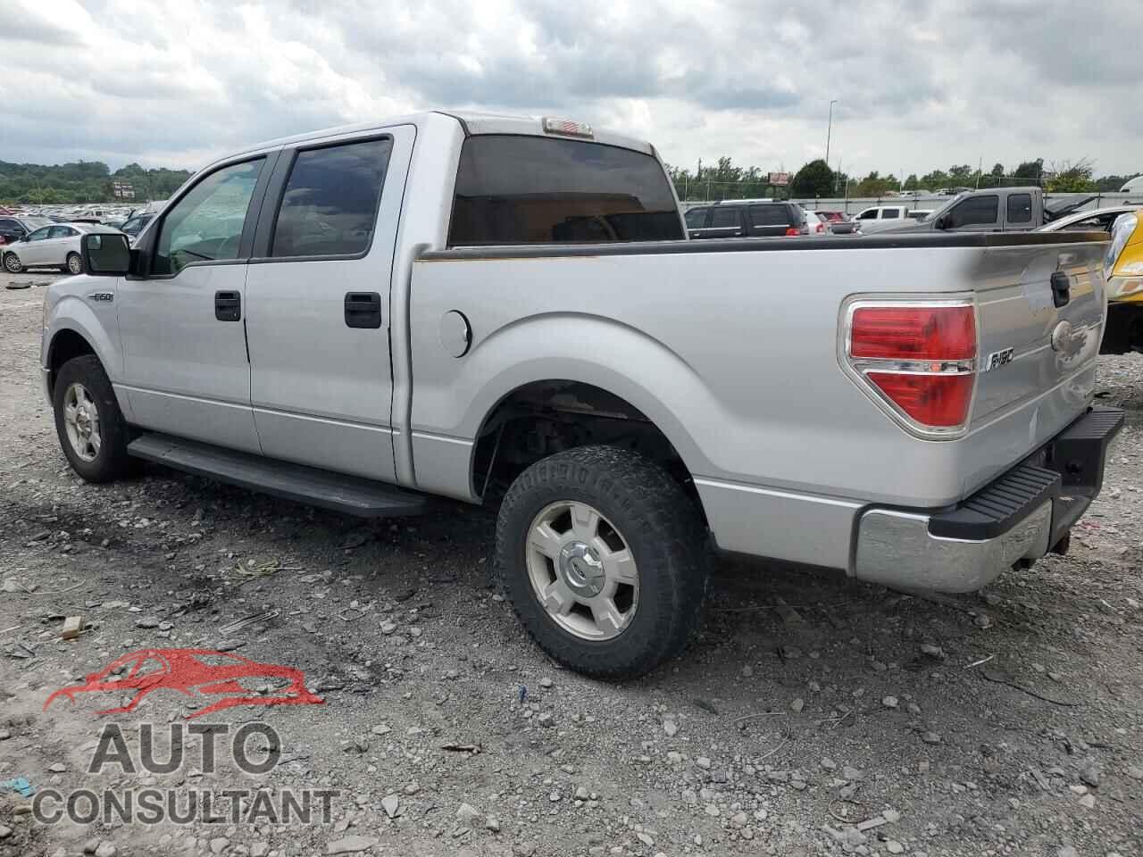 FORD F-150 2011 - 1FTEW1CM6BKD59997