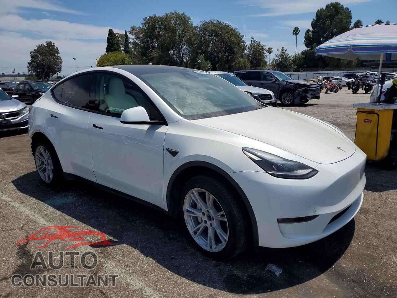 TESLA MODEL Y 2023 - 7SAYGDEE2PF632653
