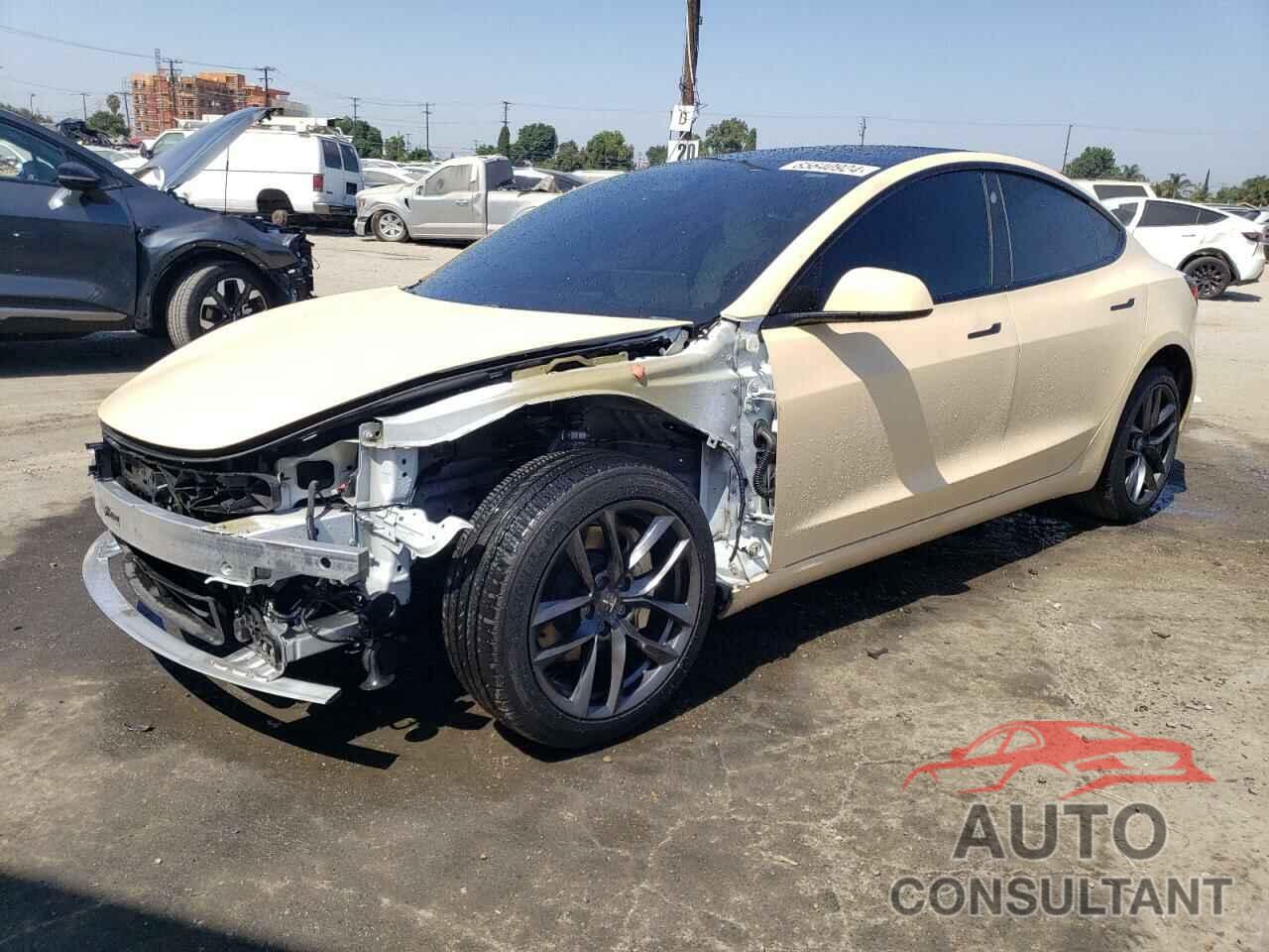 TESLA MODEL 3 2021 - 5YJ3E1EA3MF987562