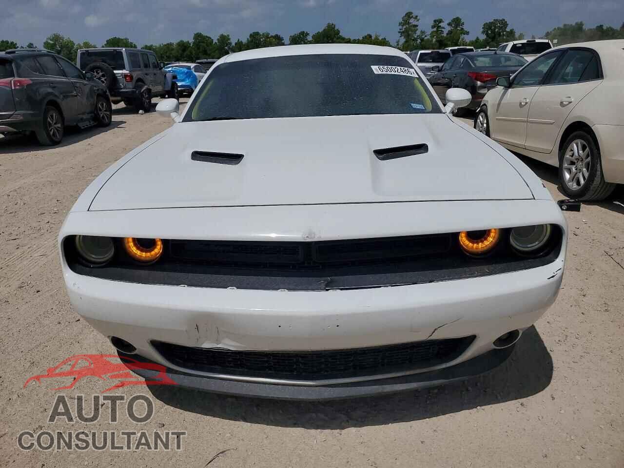 DODGE CHALLENGER 2019 - 2C3CDZAG3KH557778