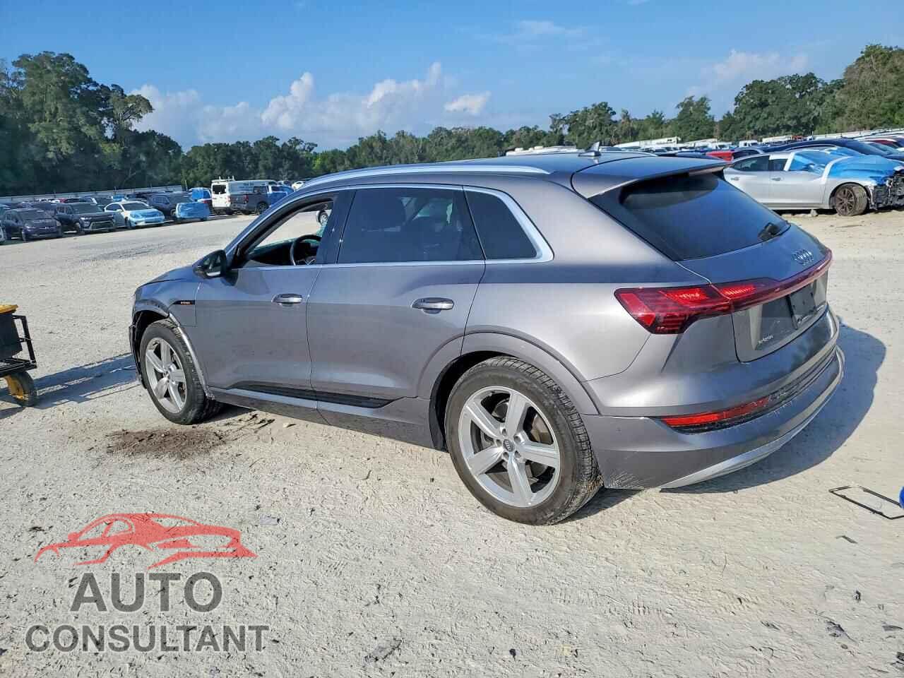 AUDI E-TRON 2019 - WA1LAAGE1KB013004