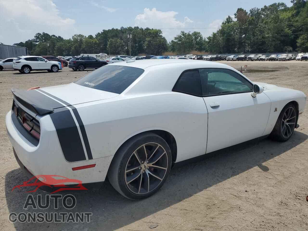 DODGE CHALLENGER 2018 - 2C3CDZFJ8JH155161