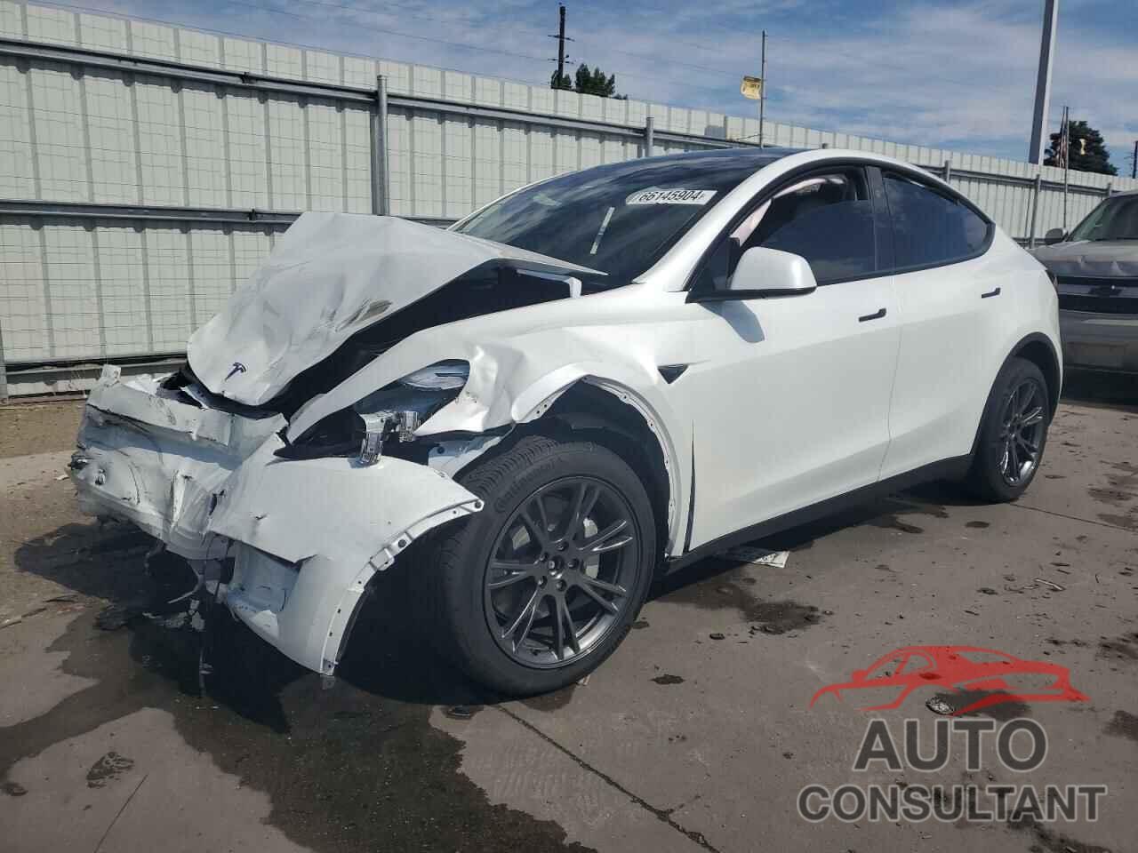 TESLA MODEL Y 2024 - 7SAYGDEE7RF117134