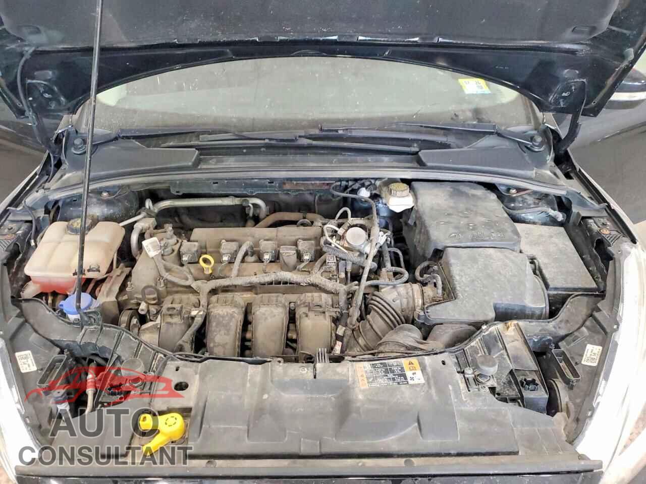 FORD FOCUS 2017 - 1FADP3K22HL321664