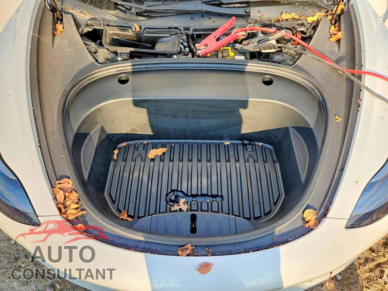 TESLA MODEL 3 2021 - 5YJ3E1EBXMF903505