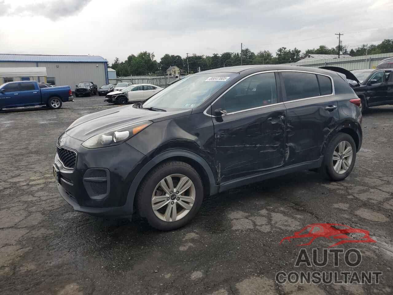 KIA SPORTAGE 2017 - KNDPM3AC6H7220629