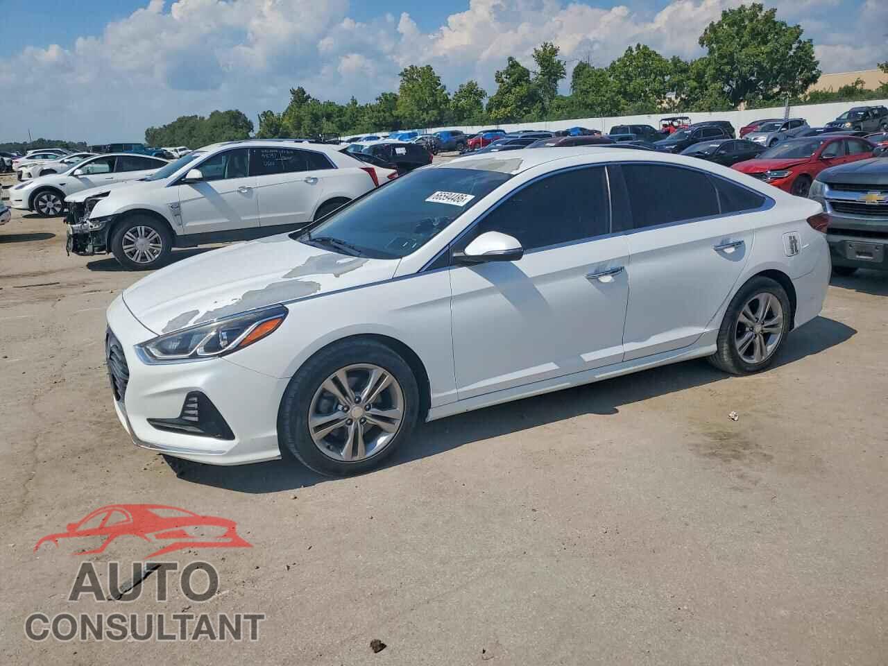 HYUNDAI SONATA 2018 - 5NPE34AF4JH606784