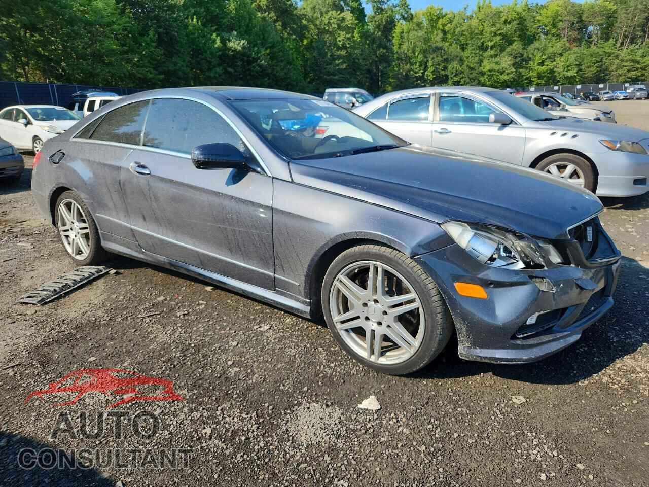 MERCEDES-BENZ E-CLASS 2010 - WDDKJ7CB2AF000405