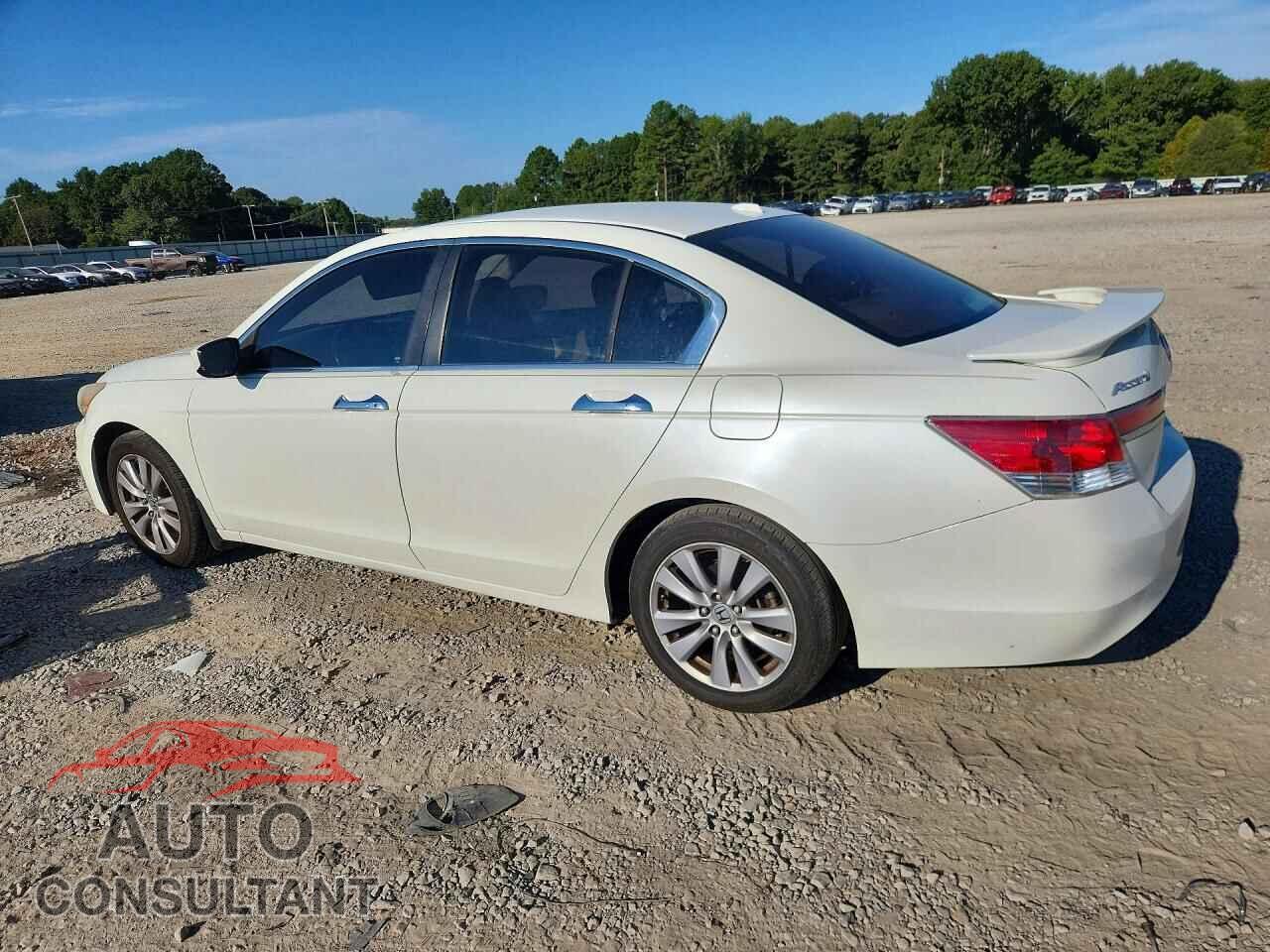 HONDA ACCORD 2011 - 5KBCP3F81BB002000