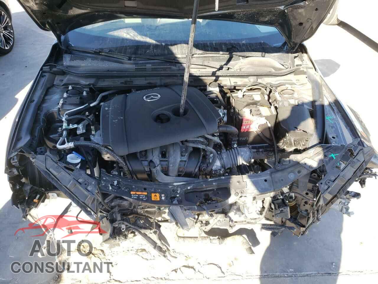 MAZDA 3 2019 - JM1BPAMM3K1146431