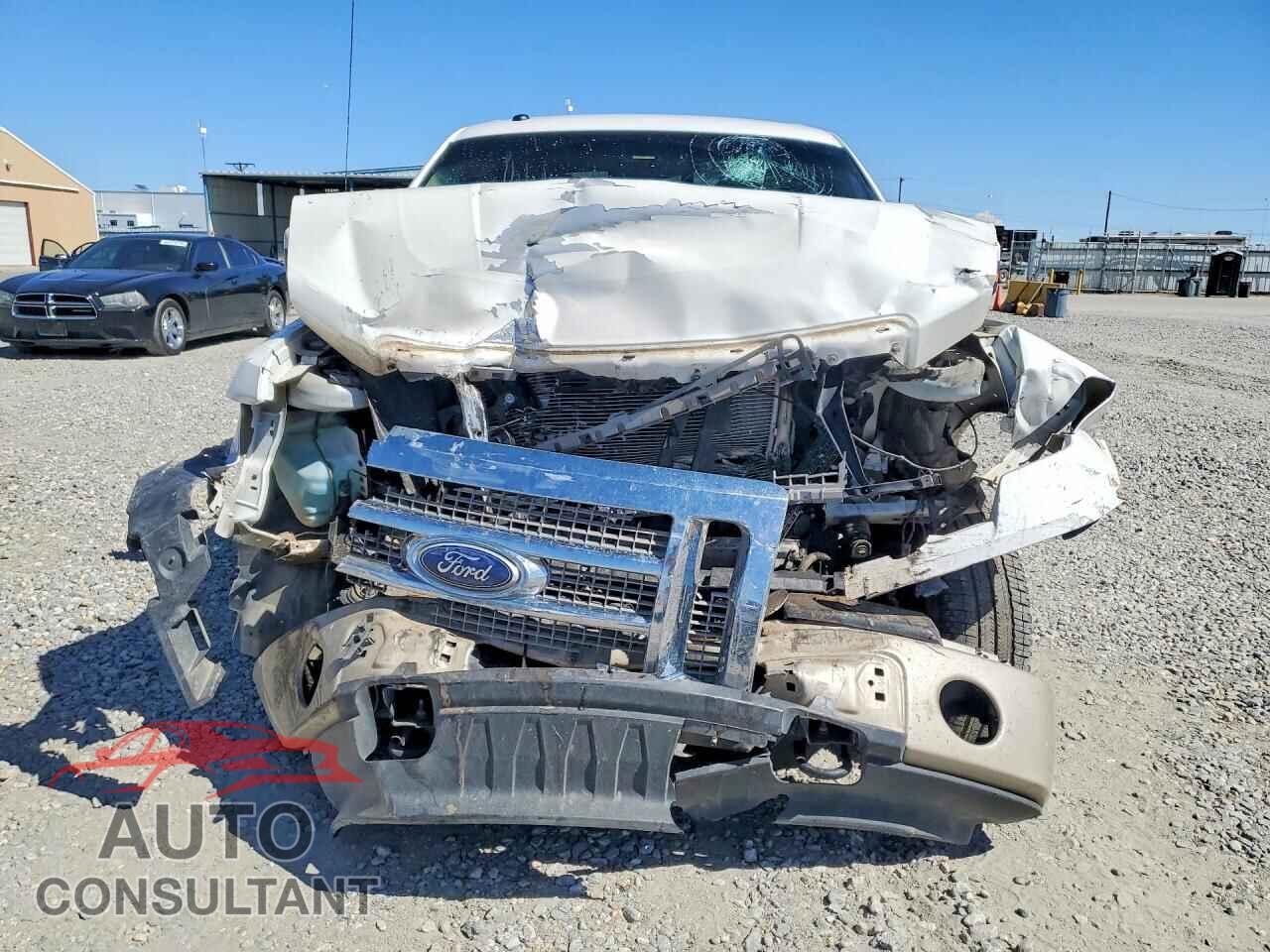 FORD F150 2010 - 1FTFW1EV2AFA52182