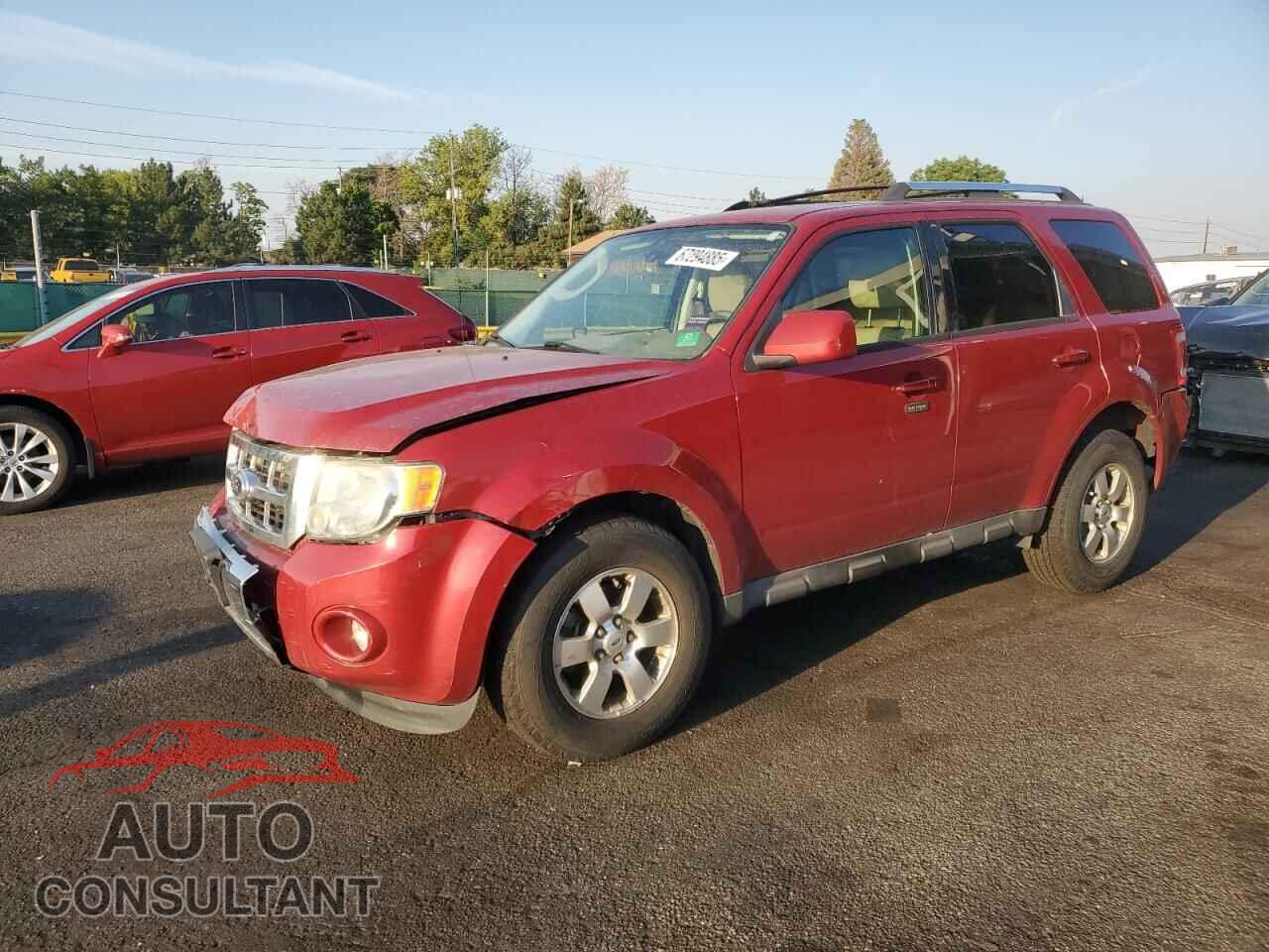 FORD ESCAPE 2011 - 1FMCU9EG7BKA33947