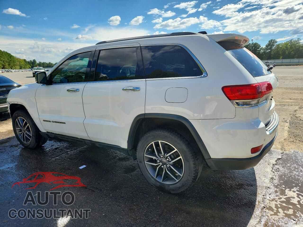 JEEP CHEROKEE 2019 - 1C4RJEBG7KC835963