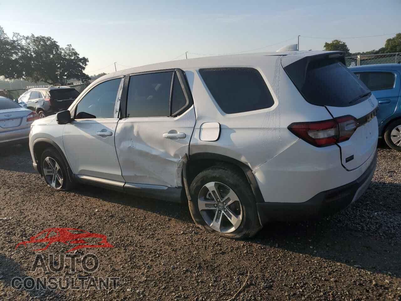 HONDA PILOT 2024 - 5FNYG2H56RB012792