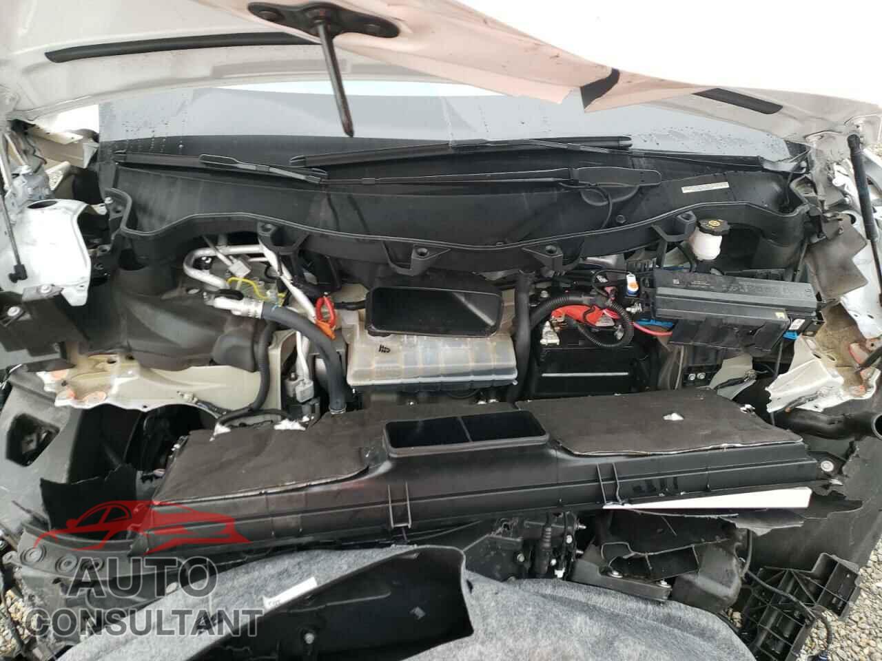 TESLA MODEL X 2019 - 5YJXCAE29KF154331