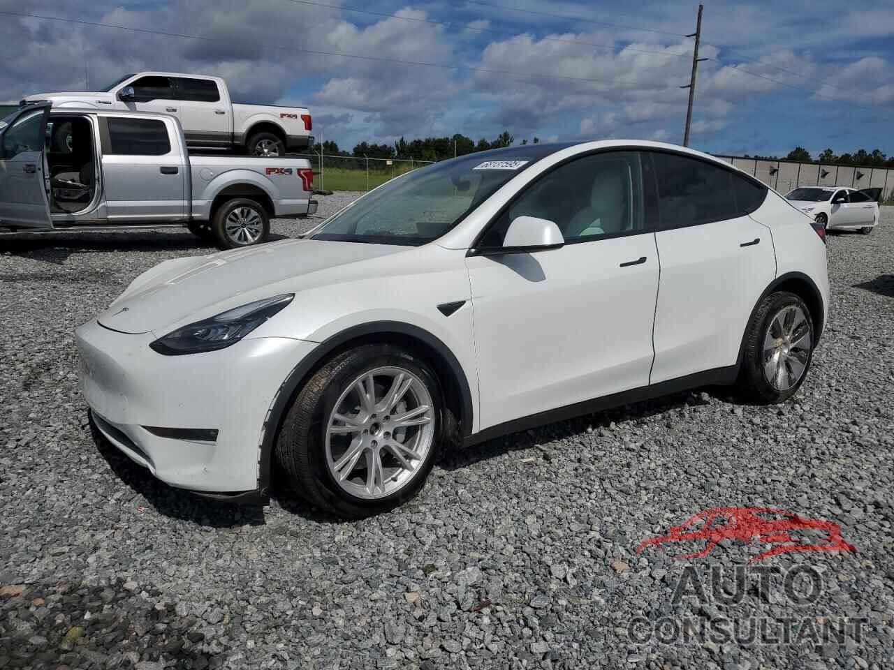 TESLA MODEL Y 2022 - 7SAYGAEE1NF466654