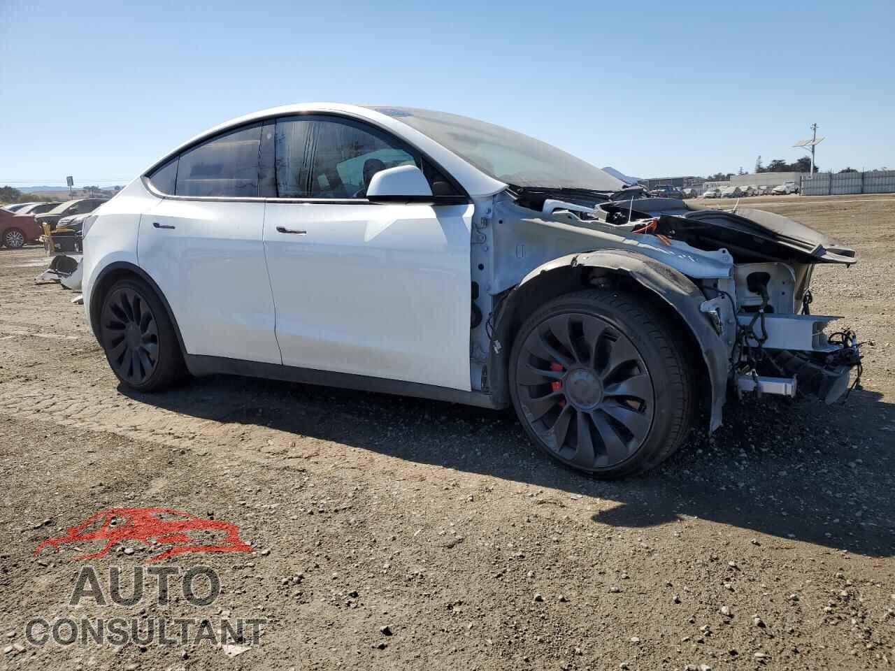 TESLA MODEL Y 2022 - 7SAYGDEF7NF516905