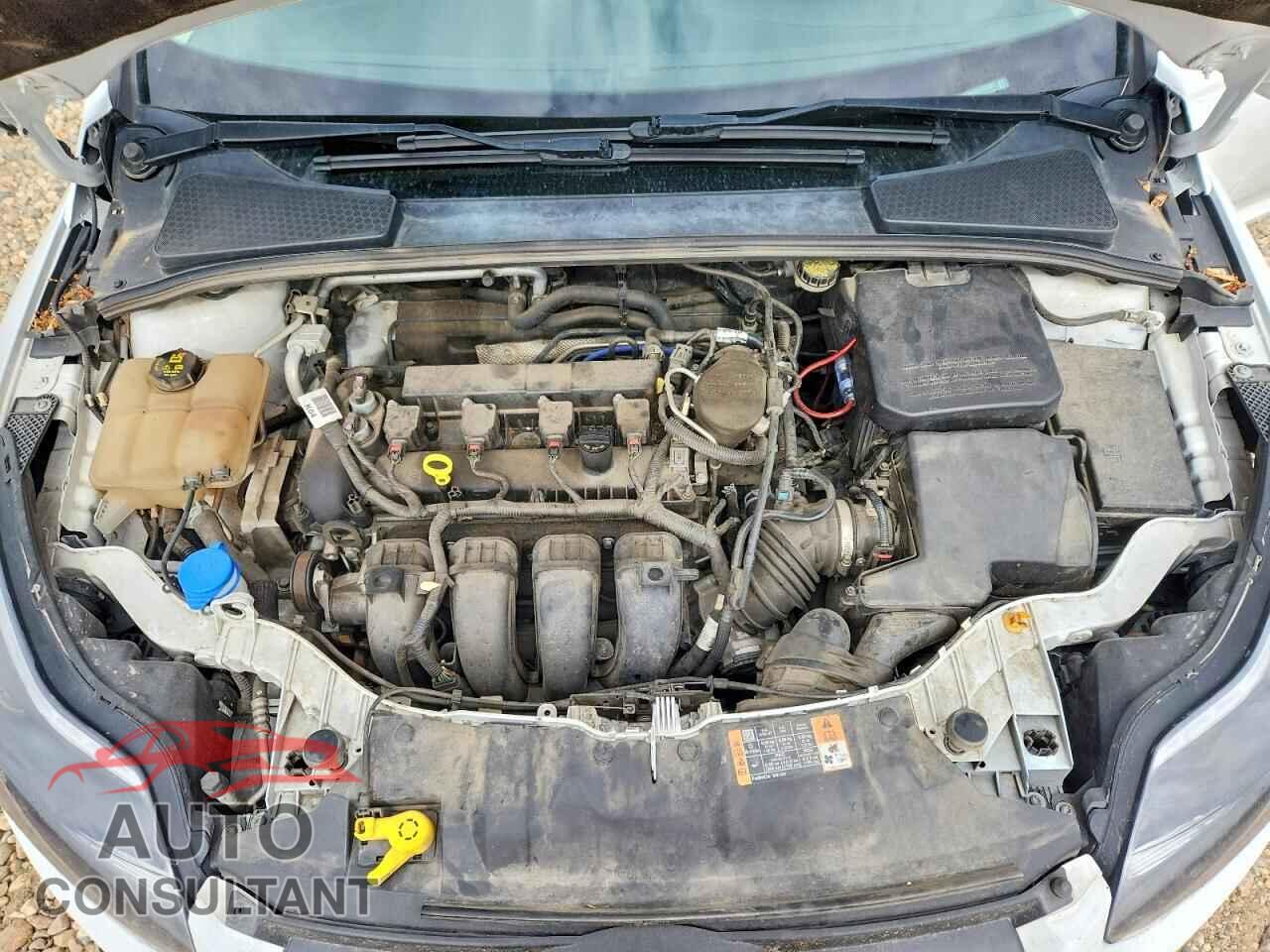 FORD FOCUS 2014 - 1FADP3K29EL455602