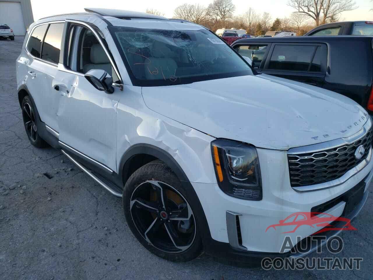 KIA TELLURIDE 2021 - 5XYP64HCXMG098750